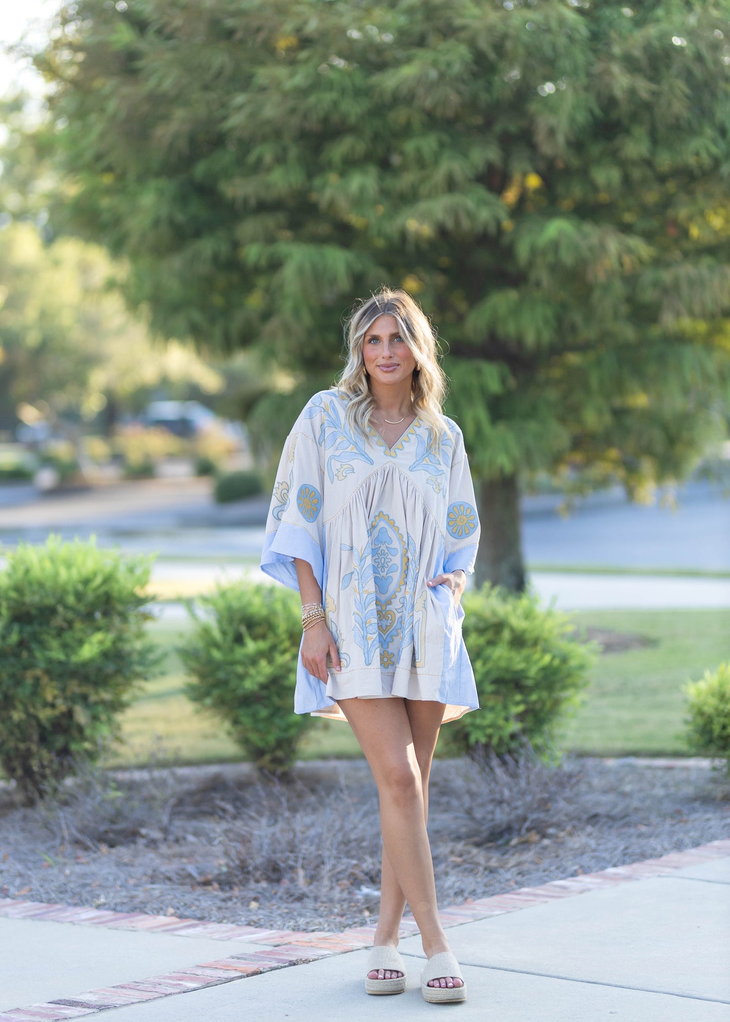 Blue Embroidered Floral Mini