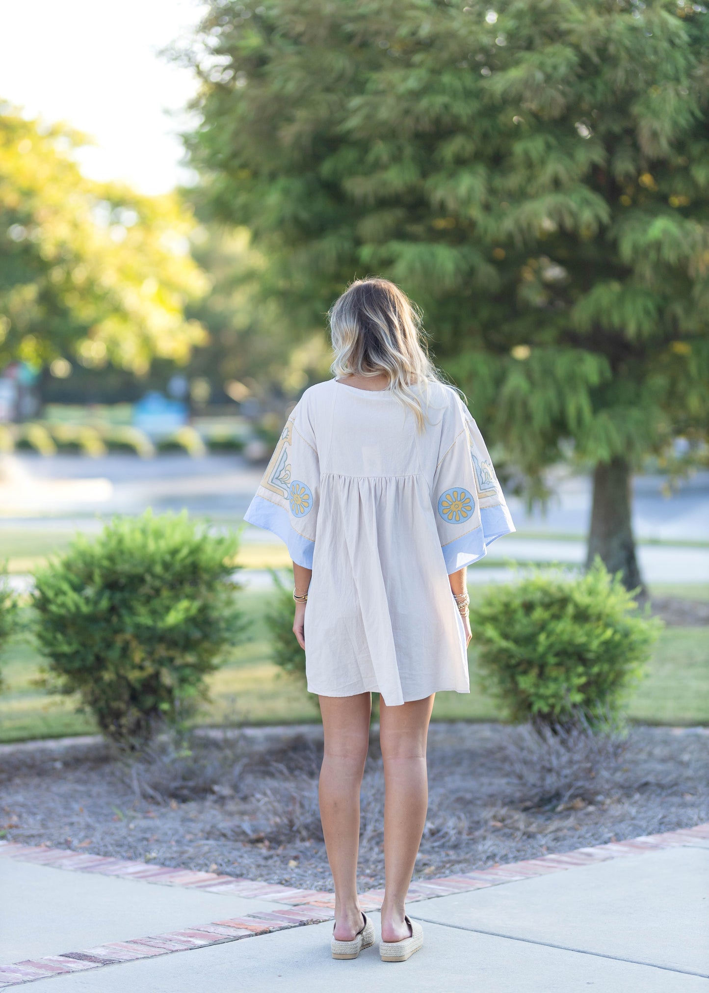 Blue Embroidered Floral Mini